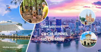 Phu My Port Shore Excursions To Cu Chi Tunnels & Ho Chi Minh City Tour