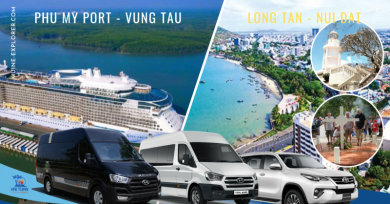 Phu My Port Shore Excursion to Long Tan Nui Dat Vung Tau Day Trip